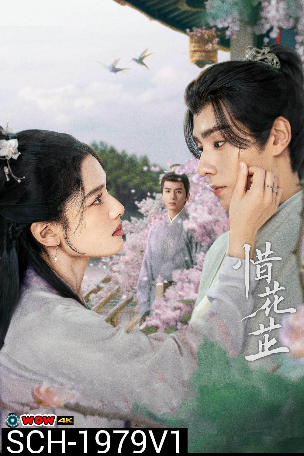 ฮวาจื่อ บุปผาเทียมเพชร Blossoms in Adversity (2024) 40 ตอน