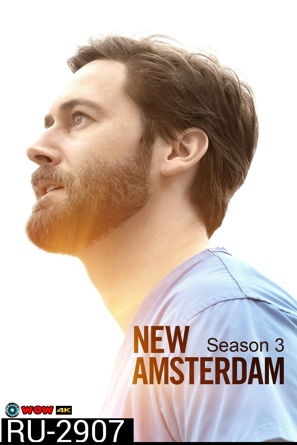 New Amsterdam Season 3  นิว อัมสเตอร์ดัม ปี 3 (2021) 14 ตอน