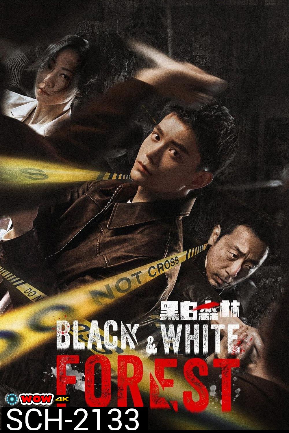 Black and White Forest ปมปริศนาป่าซ่อนเงื่อน (2024) 28 ตอนจบ