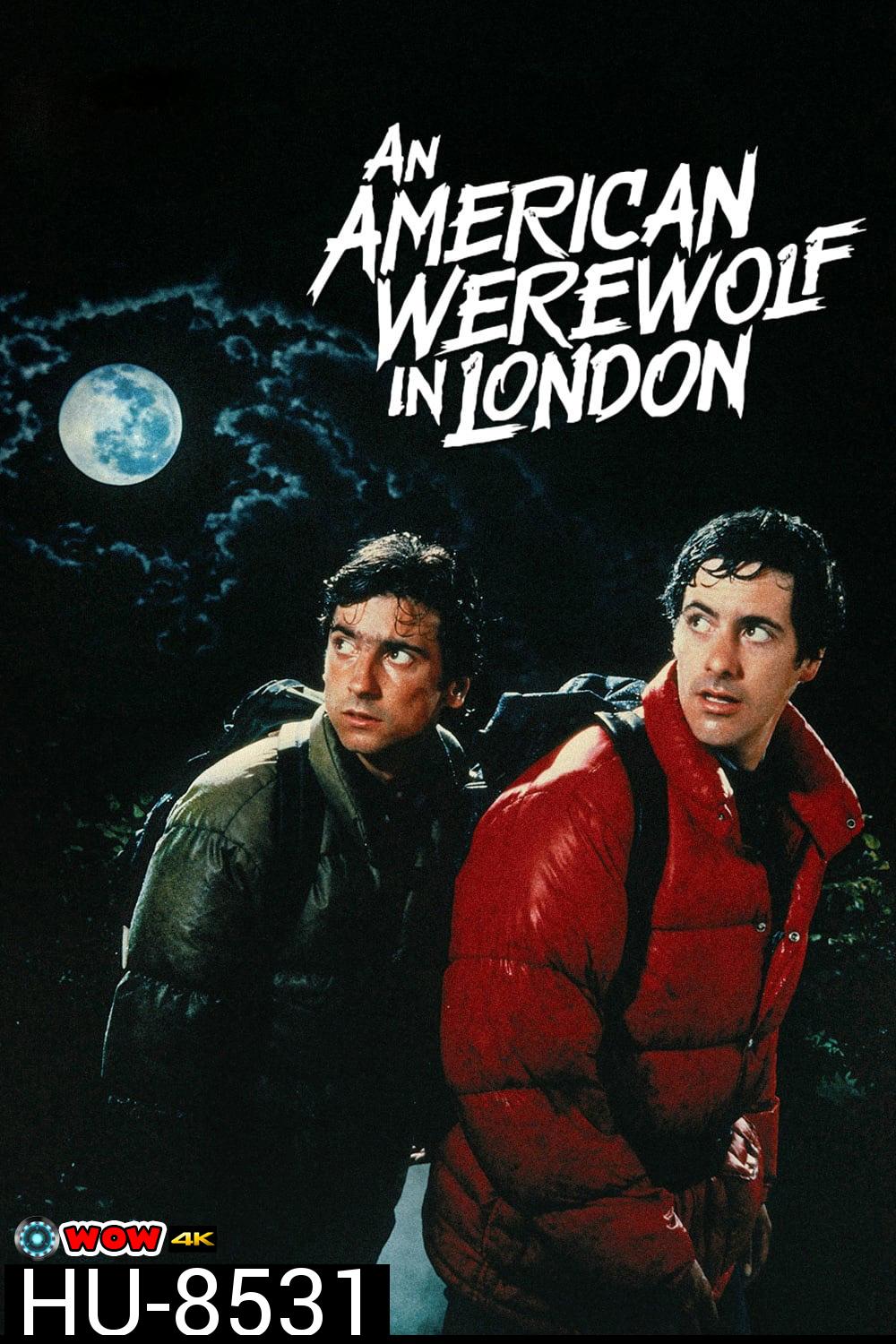 คนหอนคืนโหด An American Werewolf in London (1981)