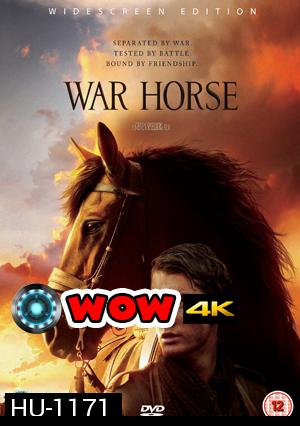 War Horse ม้าศึกจารึกโลก