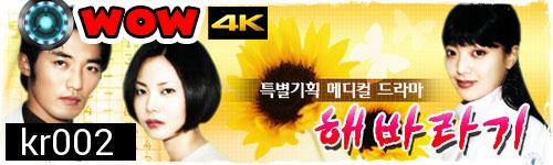 Sunflower ลิขิตฝันเดิมพันรัก